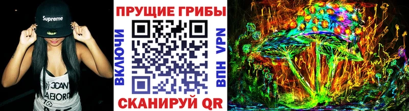 Галлюциногенные грибы прущие грибы  Таруса 